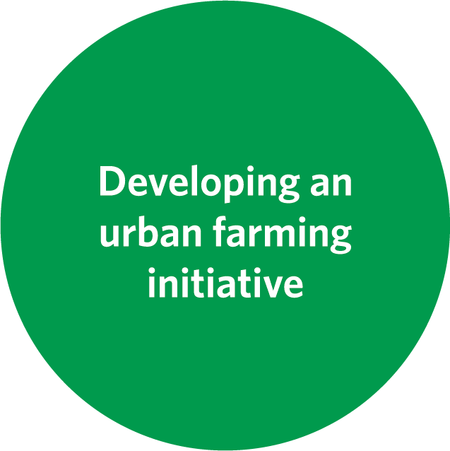 urban-farming urban-farming