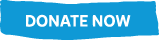 Donate Now Button