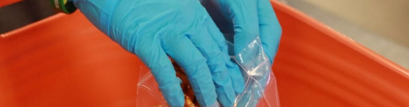 hands-in-gloves hands-in-gloves